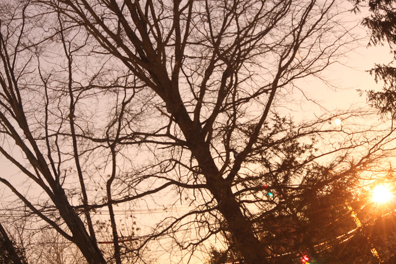 Illustration for article titled 175 Photos of Day Taken at Night